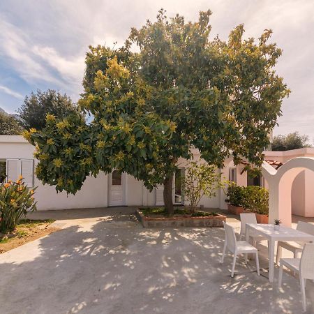 Casa Yucca Villa Forio  Ngoại thất bức ảnh