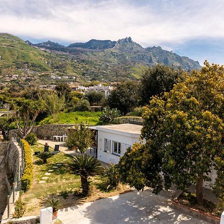 Casa Yucca Villa Forio  Ngoại thất bức ảnh