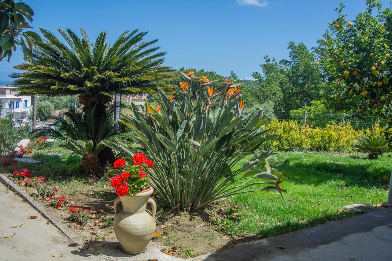 Casa Yucca Villa Forio  Ngoại thất bức ảnh