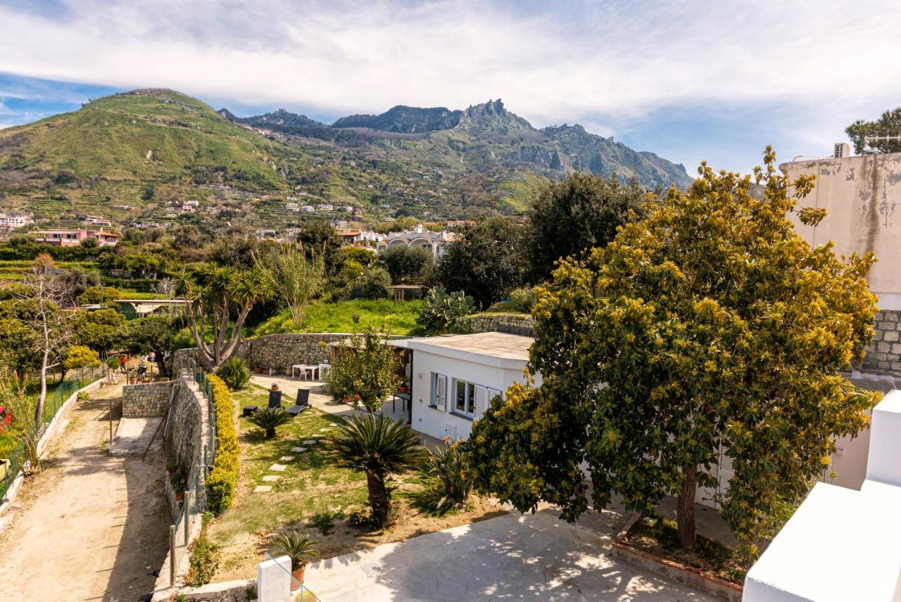 Casa Yucca Villa Forio  Ngoại thất bức ảnh